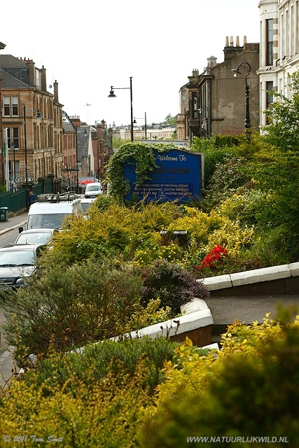 Hotel Victorian House