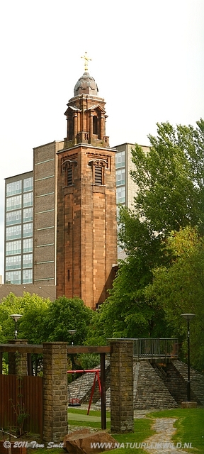 Park near Dalhousie Street