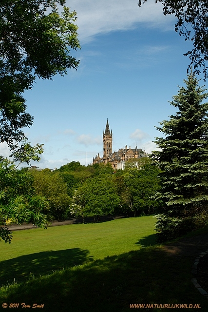 University of Glasgow