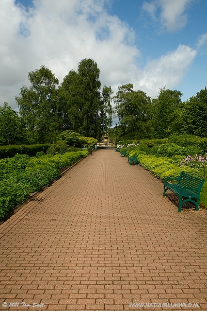 Lane in Klevingrove Park
