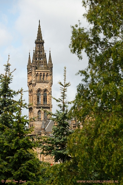 University of Glasgow