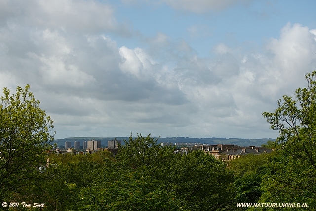 View over the city of Glasgow