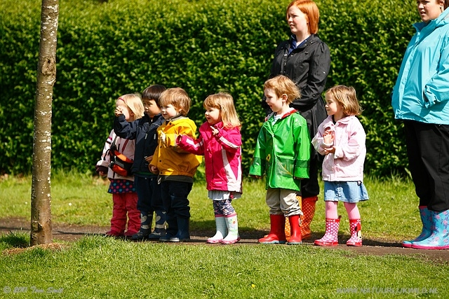 Dancing Audience at Kevingrove Park