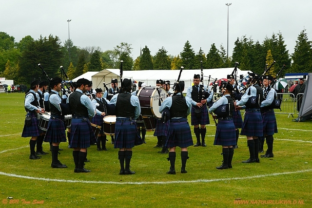 Competition in ring 3