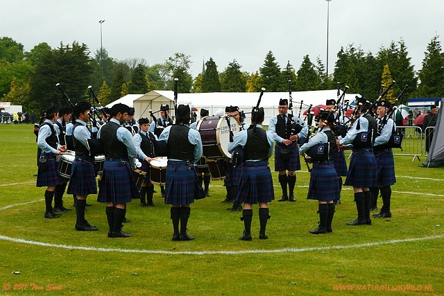 Competition in ring 3