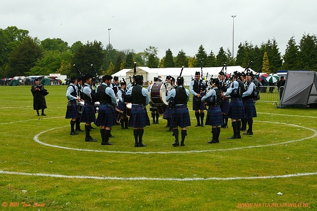 Competition in ring 3