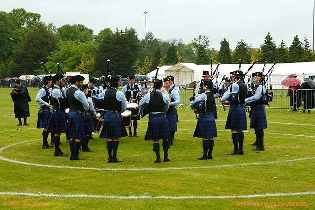 Competition in ring 3