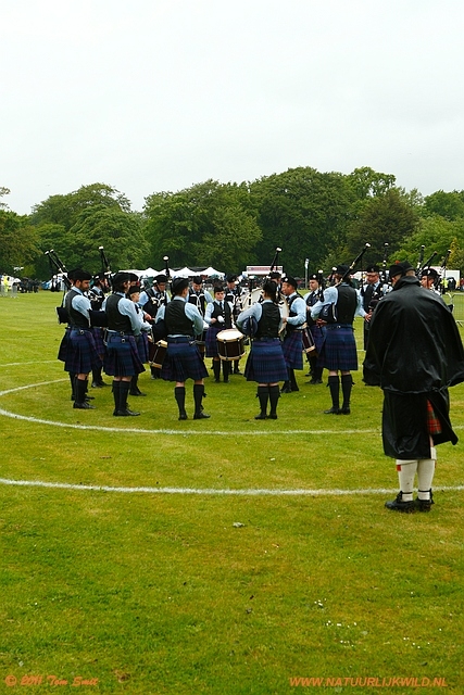 Competition in ring 3