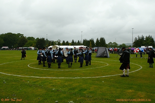 Competition in ring 3