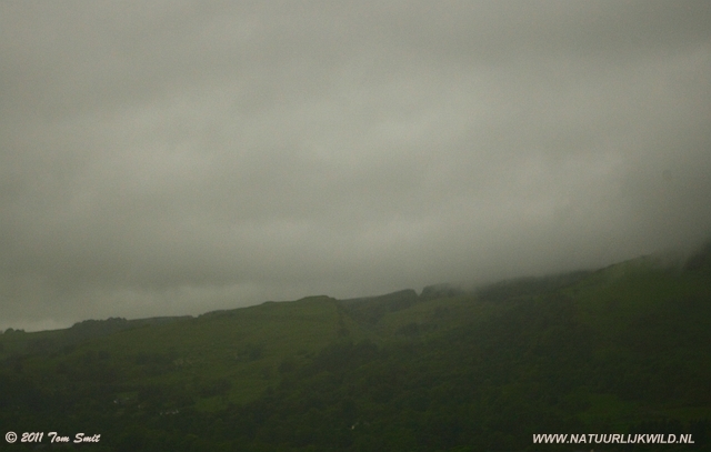 The way back to the hotel